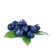 蓝莓