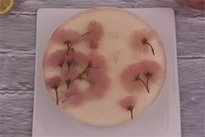 樱花酸奶慕斯的做法大全，樱花酸奶慕斯蛋糕培训怎么做