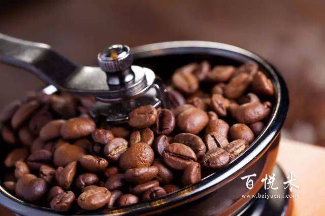 全球十大咖啡品牌的蓝山咖啡怎么样？