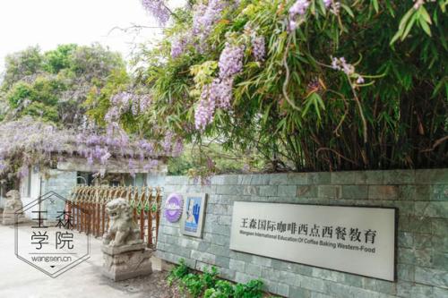 北京王森西点培训学校是哪一年创立的？